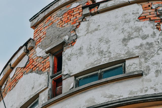pexels-didsss-9562861