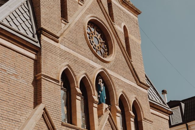 pexels-roman-odintsov-7540022